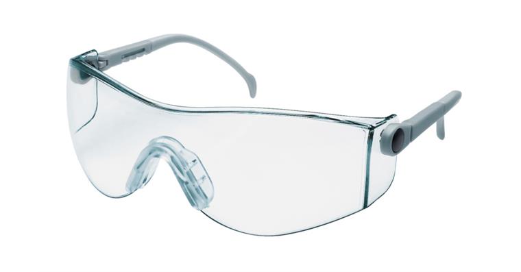 LIZZARD Schutzbrille MAX K9 Scheibe klar