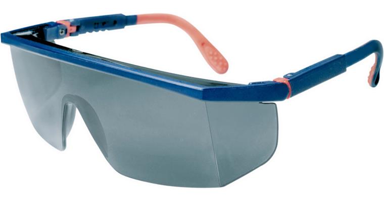 Safety goggles MAX A1 lens grey
