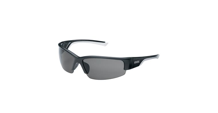 Safety goggles Pola grey black/white