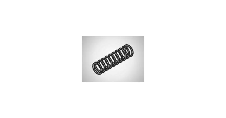 1001751269 Messfeder für FP1520 250gr