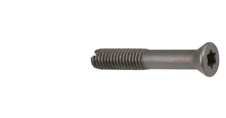 Klemmschraube CS 300-315 SL